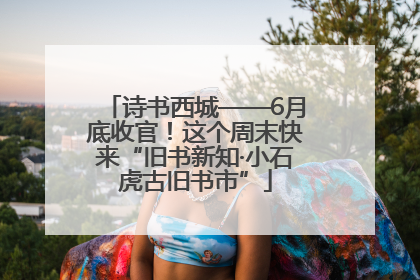 诗书西城——6月底收官！这个周末快来“旧书新知·小石虎古旧书市”
