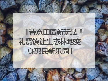 诗意田园新玩法！礼贤镇让生态林地变身惠民新乐园