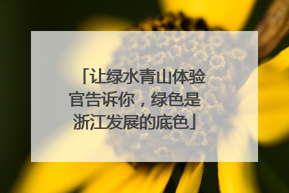 让绿水青山体验官告诉你，绿色是浙江发展的底色