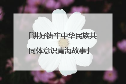 讲好铸牢中华民族共同体意识青海故事