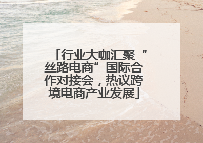 行业大咖汇聚“丝路电商”国际合作对接会，热议跨境电商产业发展