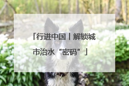 行进中国丨解锁城市治水“密码”