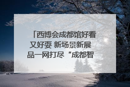 西博会成都馆好看又好耍 新场景新展品一网打尽“成都智造”｜西博视界