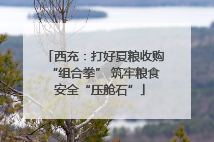 西充：打好夏粮收购“组合拳” 筑牢粮食安全“压舱石”