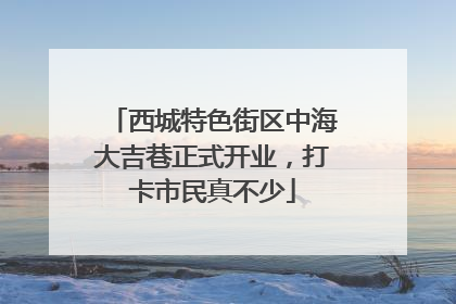 西城特色街区中海大吉巷正式开业，打卡市民真不少
