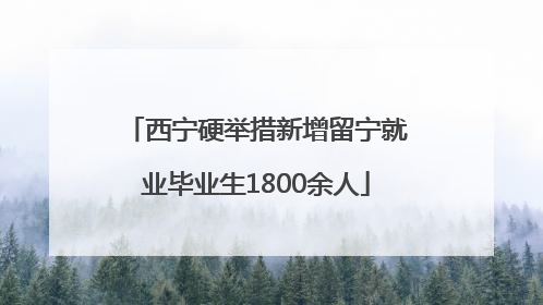 西宁硬举措新增留宁就业毕业生1800余人