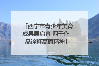 西宁市青少年美育成果展启幕 四千作品诠释高原精神