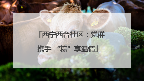 西宁西台社区：党群携手 “粽”享温情