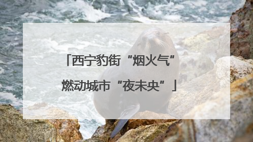 西宁豹街“烟火气” 燃动城市“夜未央”