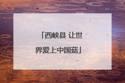 西峡县 让世界爱上中国菇