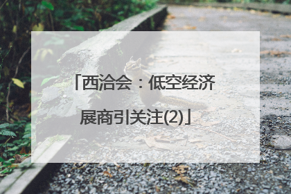 西洽会：低空经济展商引关注(2)