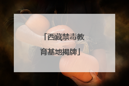 西藏禁毒教育基地揭牌