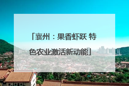 襄州：果香虾跃 特色农业激活新动能