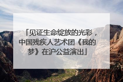 见证生命绽放的光彩，中国残疾人艺术团《我的梦》在沪公益演出
