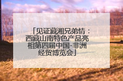 见证藏湘兄弟情：西藏山南特色产品亮相第四届中国-非洲经贸博览会
