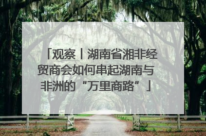 观察丨湖南省湘非经贸商会如何串起湖南与非洲的“万里商路”
