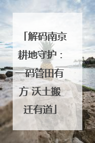 解码南京耕地守护：一码管田有方 沃土搬迁有道