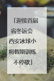 迎接首届省冬运会 西安冰球小将假期训练不停歇