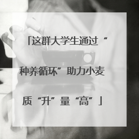 这群大学生通过“种养循环”助力小麦质“升”量“高”