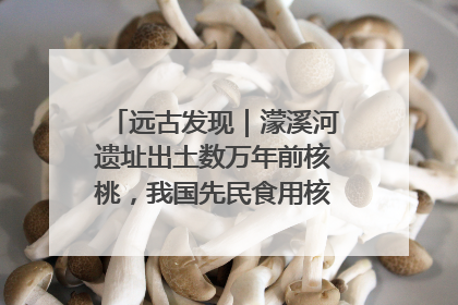 远古发现｜濛溪河遗址出土数万年前核桃，我国先民食用核桃历史大幅提前