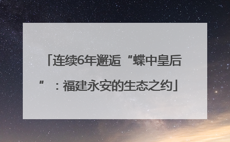 连续6年邂逅“蝶中皇后”：福建永安的生态之约