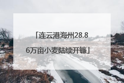 连云港海州28.86万亩小麦陆续开镰