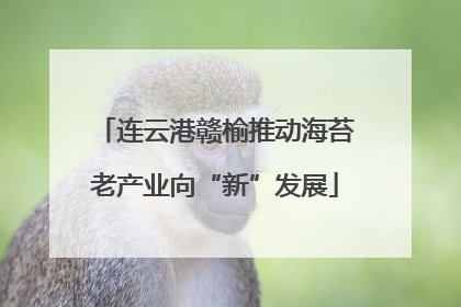 连云港赣榆推动海苔老产业向“新”发展