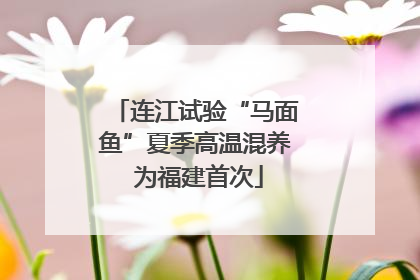 连江试验“马面鱼”夏季高温混养 为福建首次