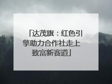 达茂旗：红色引擎助力合作社走上致富新赛道
