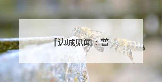 边城见闻：普兰口岸访边民