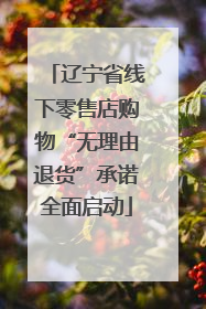 辽宁省线下零售店购物“无理由退货”承诺全面启动