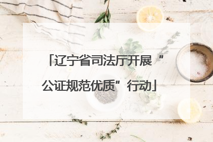 辽宁省司法厅开展“公证规范优质”行动