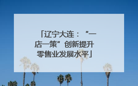 辽宁大连：“一店一策”创新提升零售业发展水平