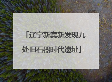 辽宁新宾新发现九处旧石器时代遗址