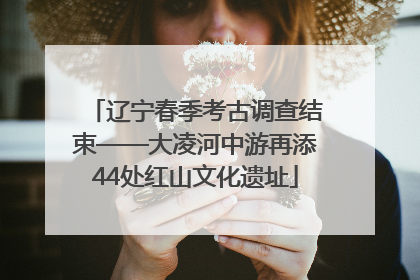 辽宁春季考古调查结束——大凌河中游再添44处红山文化遗址