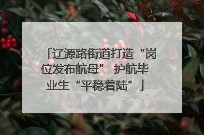 辽源路街道打造“岗位发布航母” 护航毕业生“平稳着陆”