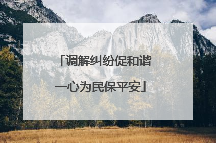 调解纠纷促和谐 一心为民保平安