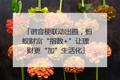 谐音梗联动出圈，蚂蚁财富“指数+”让理财更“加”生活化