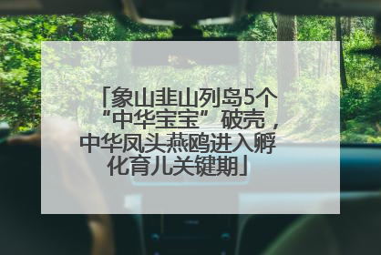 象山韭山列岛5个“中华宝宝”破壳，中华凤头燕鸥进入孵化育儿关键期