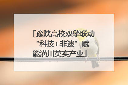 豫陕高校双擎联动 “科技+非遗”赋能潢川芡实产业