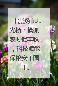 贵溪市志光镇：抢抓农时促丰收，科技赋能保粮安（图）