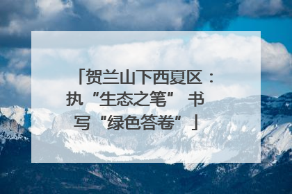 贺兰山下西夏区：执“生态之笔” 书写“绿色答卷”