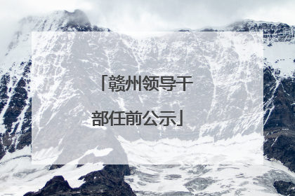 赣州领导干部任前公示