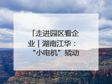 走进园区看企业｜湖南江华：“小电机”撬动“大产业”