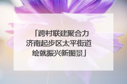 跨村联建聚合力 济南起步区太平街道绘就振兴新图景
