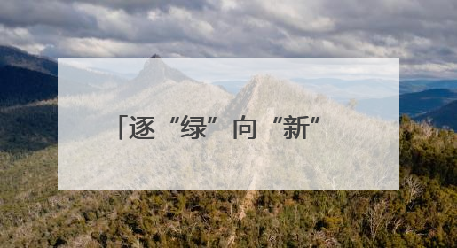 逐“绿”向“新” 广西兴业加速建设百亿绿色钙产业集群