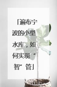 遍布宁波的小型水库，如何实现“智”管