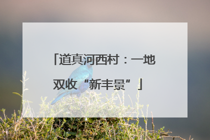 道真河西村：一地双收“新丰景”