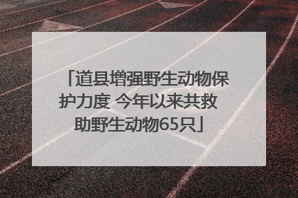 道县增强野生动物保护力度 今年以来共救助野生动物65只