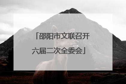 邵阳市文联召开六届二次全委会